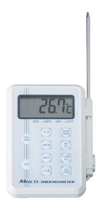 TERMOMETRO SONDA 5981