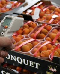 Testo Temperatura Instrumento De Medici/ón 831 0560 8316
